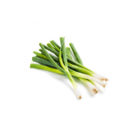 Spring onion