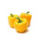 Yellow capsicum